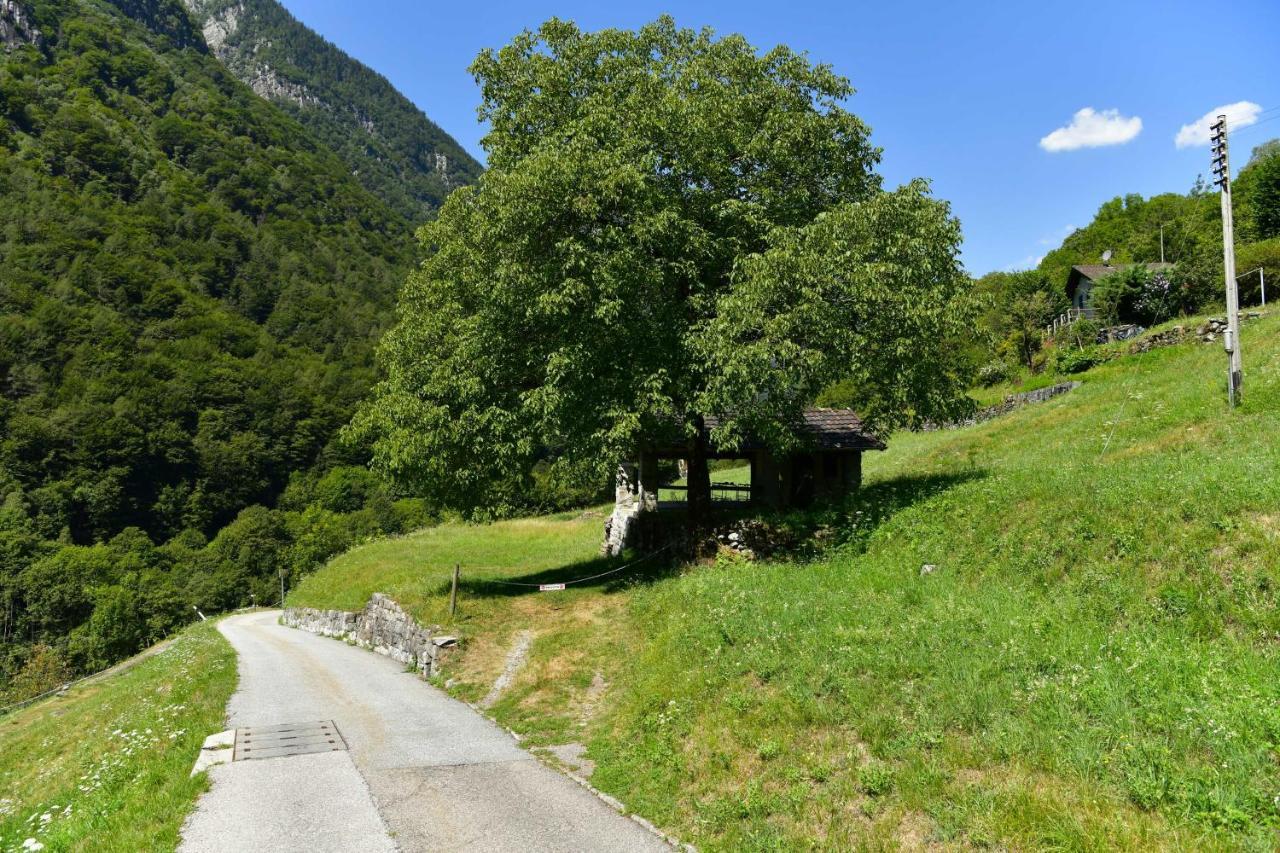 Chalet Rustico Luchessa Valle Verzasca