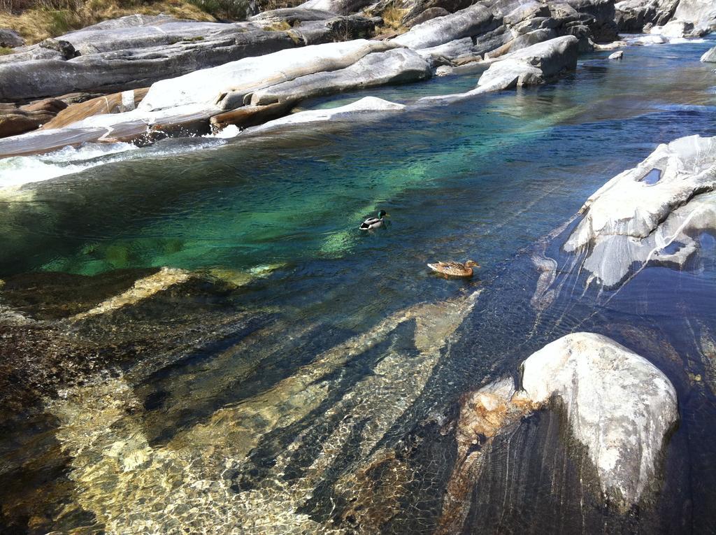 Chalet Rustico Luchessa Valle Verzasca Lavertezzo